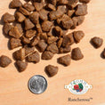 Load image into Gallery viewer, A close-up image of a handful of dry Rancherosa kibble pieces, next to a dime for size comparison. 2 of the pieces would fit into the area of the dime. They have a slightly rounded triangle shape to them.

