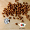 Load image into Gallery viewer, A close-up image of a handful of dry Surf & Turf kibble pieces, next to a dime for size comparison. About 6 of the pieces would fit into the area of the dime. They are very small and round.
