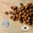 Load image into Gallery viewer, A close-up image of a handful of dry Surf & Turf kibble pieces, next to a dime for size comparison. About 3 of the pieces would fit into the area of the dime. They are small, and about the size and shape of a pencil eraser.
