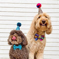 Load image into Gallery viewer, Party Hat
