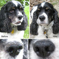 Load image into Gallery viewer, Snout Soother
