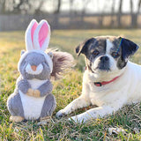 Easter Bunny Squirrel Toy