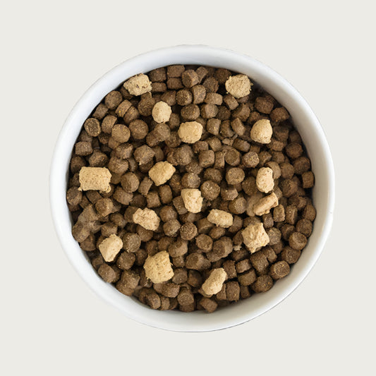 A close-up bowl of Open Farm's RawMix dog food. It is filled with pencil eraser sized brown kibbles, accented with light tan pieces of freeze dried raw.