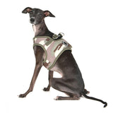 Puppia Harness