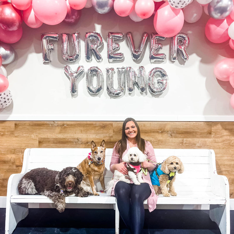 Birthday Pawty - Photo Attendant