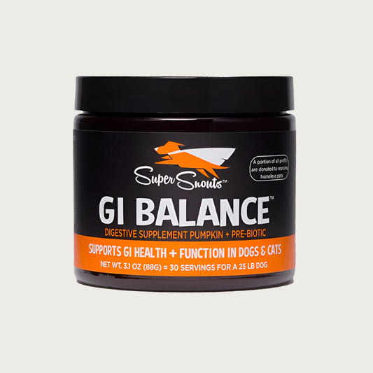 Super Snouts GI Balance