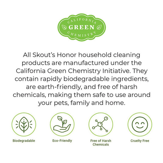 Stain & Odor Remover