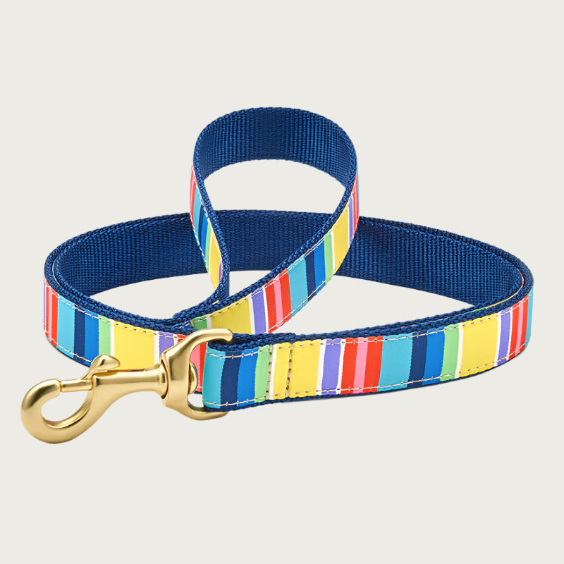 Colorful Stripe Collar