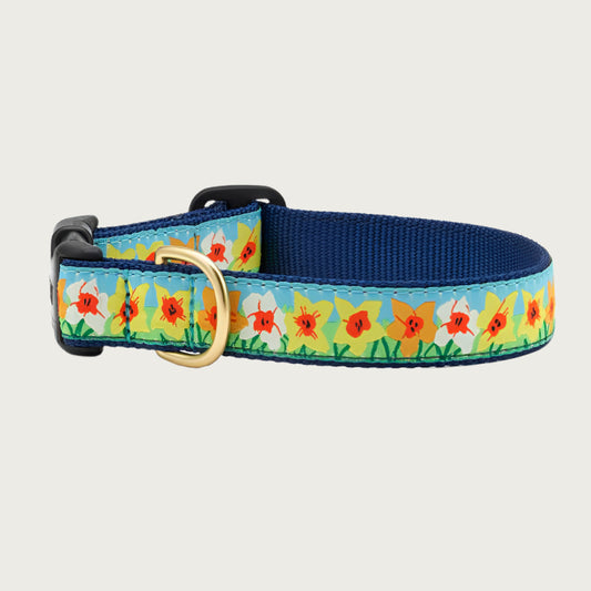 Daffodil Collar