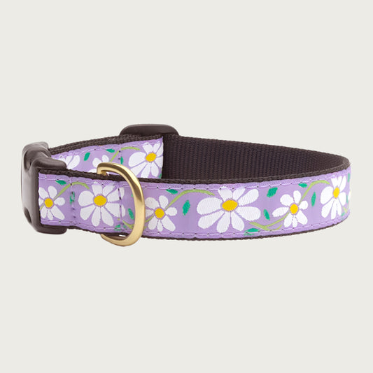 Daisy Collar