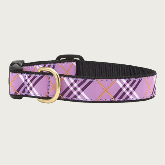 Lavender Lattice Collar