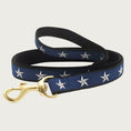 Load image into Gallery viewer, North Star Collar
