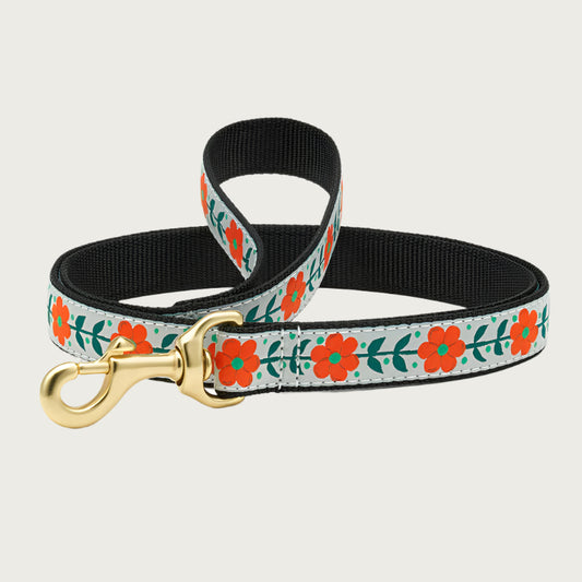 Orange You Pretty Collar