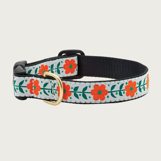 Orange You Pretty Collar