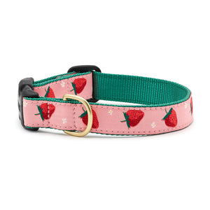 Strawberry Fields Collar