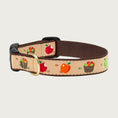Load image into Gallery viewer, Dog collar with apple & apple bushel pattern in shades of red, green, orange and brown on a tan background. Inner webbing is brown, and the collar has a black plastic clip with brass D-ring.
