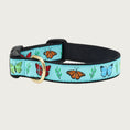 Load image into Gallery viewer, Dog collar with multicolored butterfly pattern on a light aqua blue background. Inner webbing is black, and the collar has a black plastic clip with brass D-ring.
