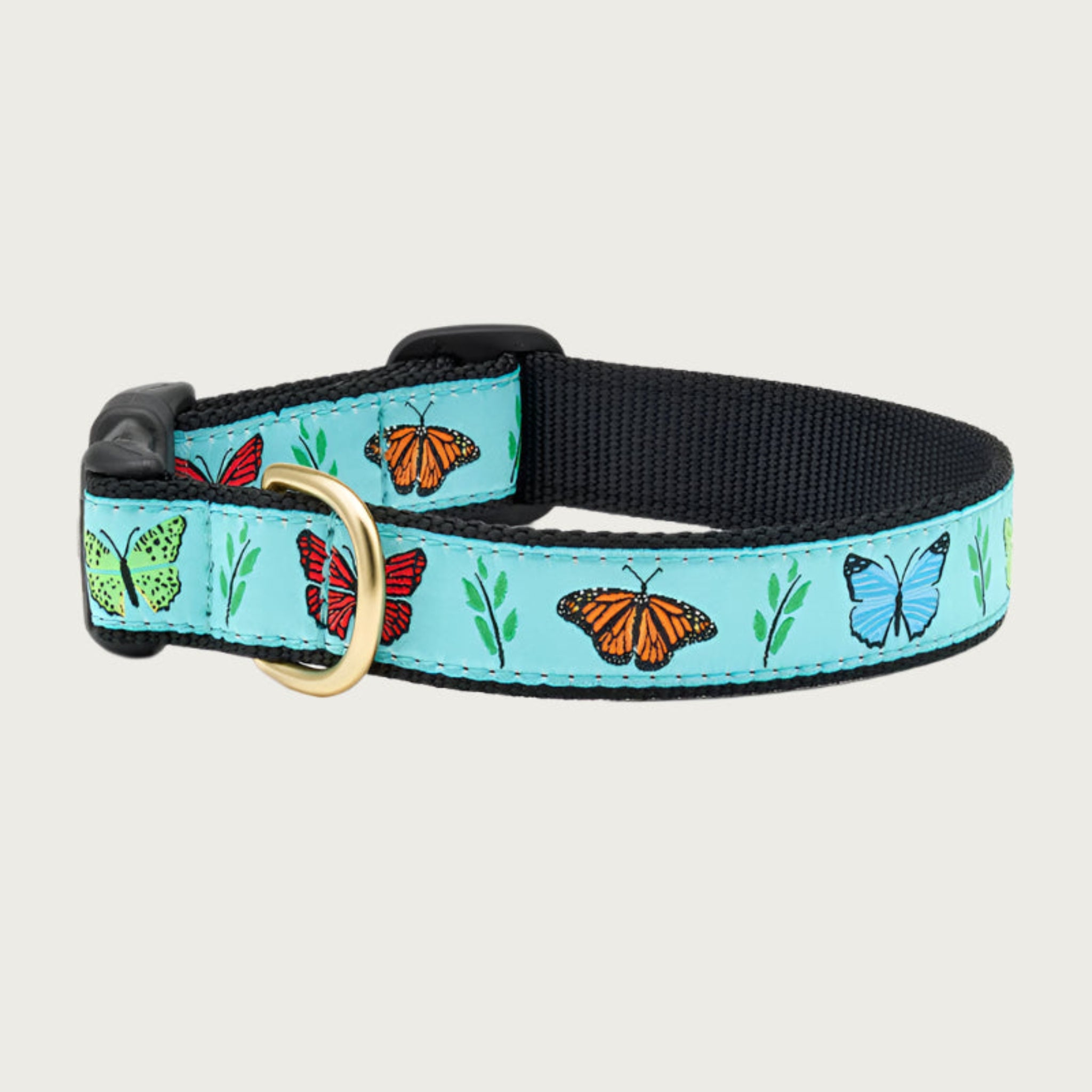 Dog collar with multicolored butterfly pattern on a light aqua blue background. Inner webbing is black, and the collar has a black plastic clip with brass D-ring.