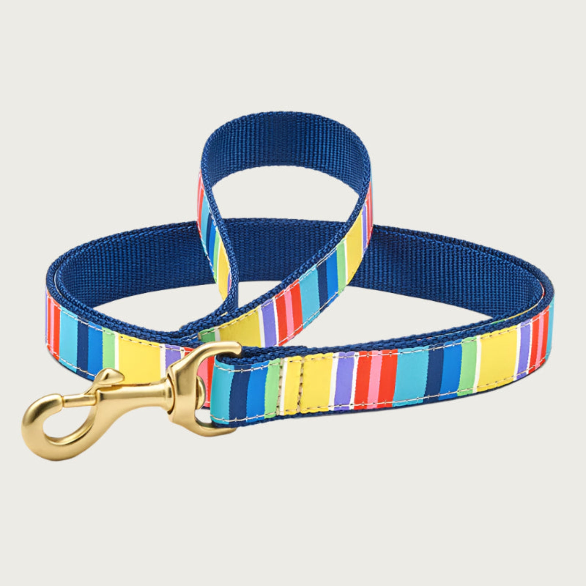 Vibrant, multicolored striped dog leash. Inner webbing is navy blue and the leash has a brass clip. 