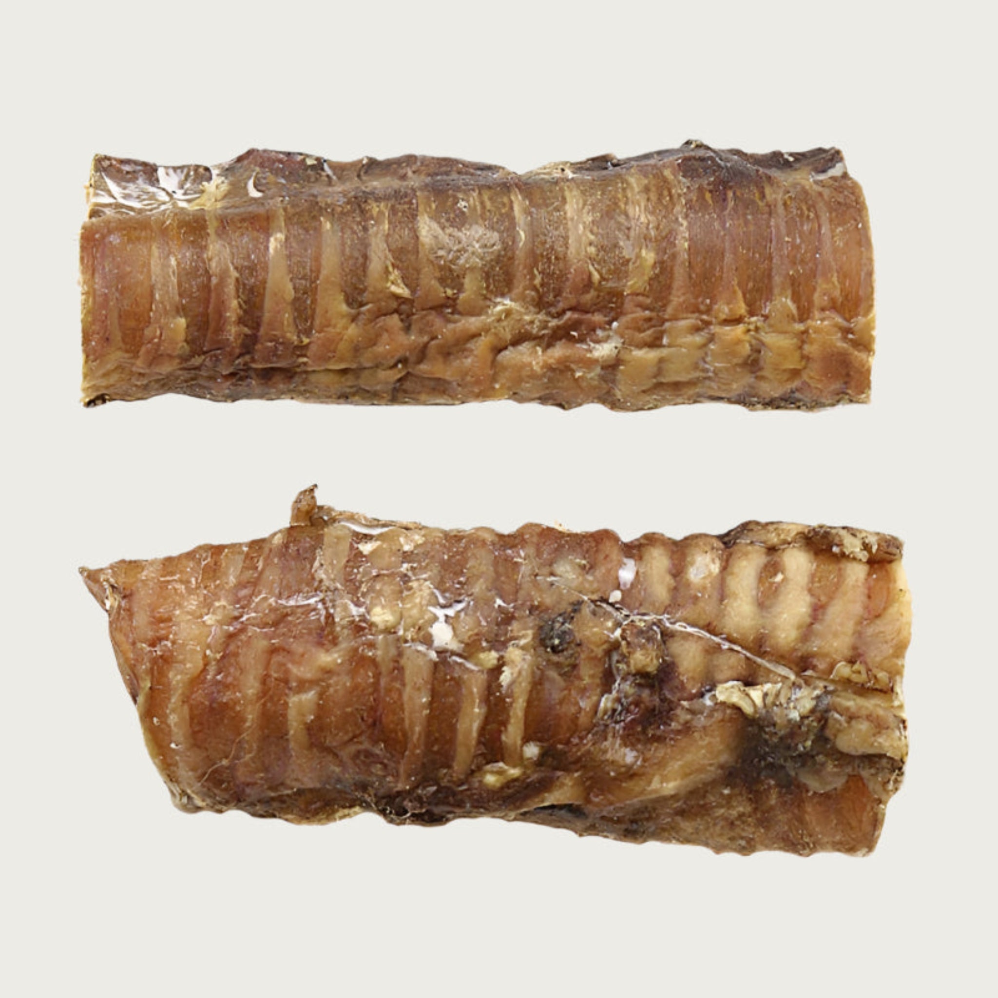 Two 6" long windee dog chews, side by side to show size & color variation. They are thin, hollow (with openings about 2" wide) and shaped like a stubby cylindrical stick.They are brownish tan colored and have a slightly bumpy texture.