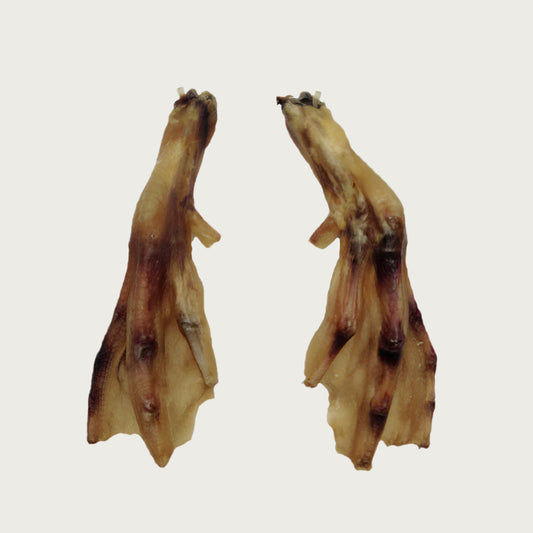 Two duck feet dog chews, side by side. They are tan in color.