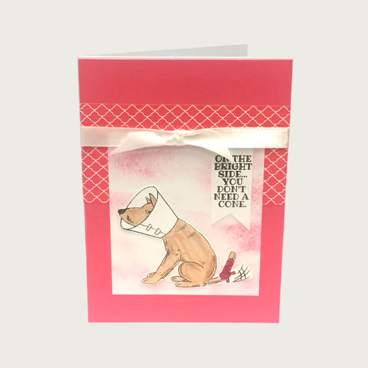Pink card with an illustrated dog wearing a cone around its neck, and a bandage on its wagging tail. Text reads "On the bright side...you don't need a cone". There is a cream ribbon accent that is placed above the illustration.
