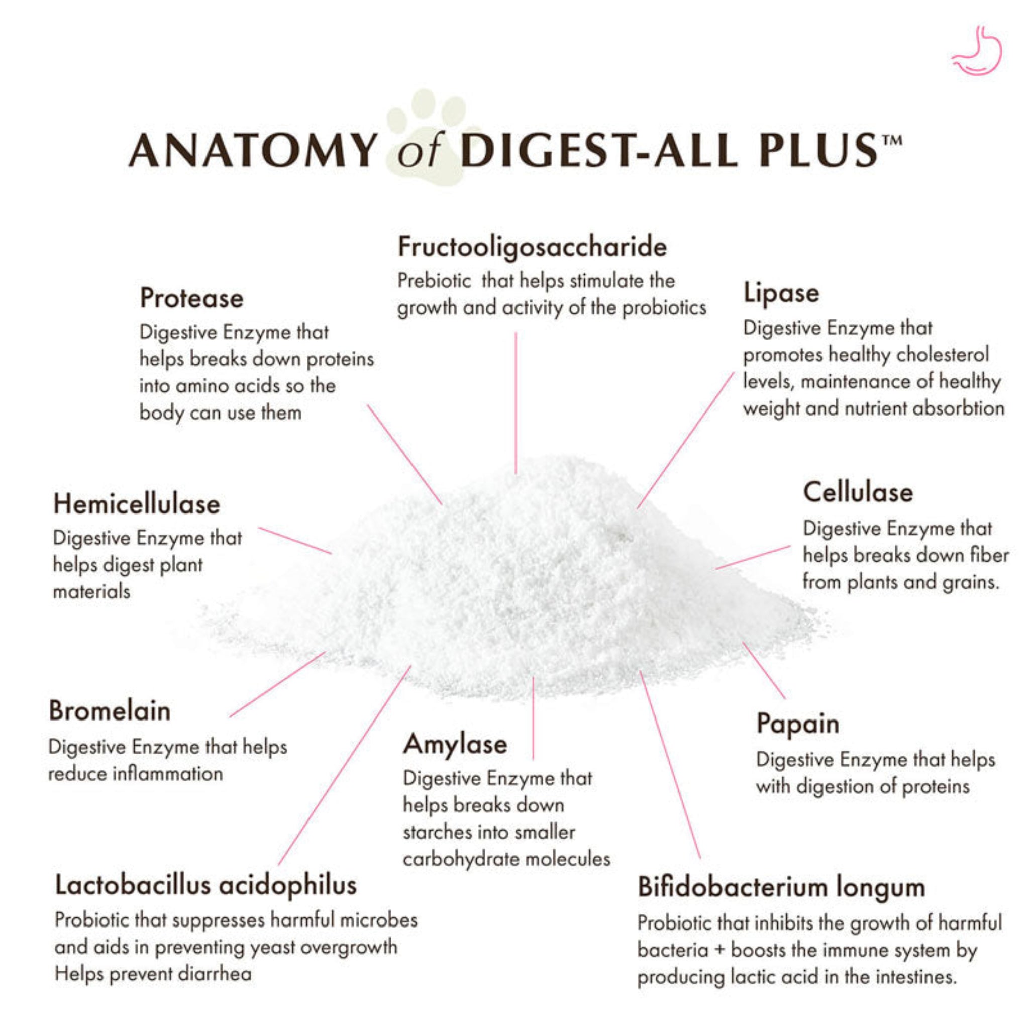 Text-heavy graphic detailing the specific function of each item in the Digest-All Plus ingredient list.