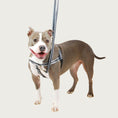 Load image into Gallery viewer, Freedom No Pull Harness
